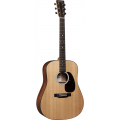 MARTIN D10E