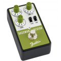 FENDER BASSMAN REVERB