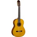 YAMAHA CGTANT TRANSACOUSTIC