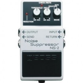 BOSS NS2