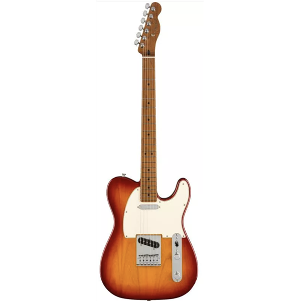 FENDER DE PLAYER LTD TELE MN RSTD MN SSB