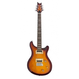 LARRY CARLTON Q3 TS