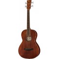 IBANEZ PNB14EOPN