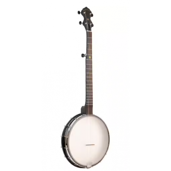 GOLD TONE BANJO AC12