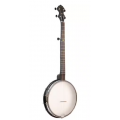 GOLD TONE BANJO AC12