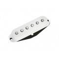DIMARZIO DP 416W AREA 61 BLANC
