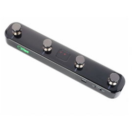MOOER FOOTSWICH GTRS GWF4